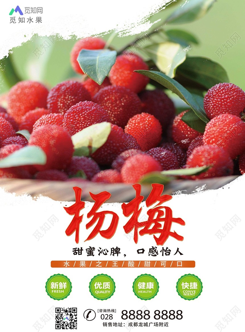 生鲜简约杨梅水果之王新鲜优质健康宣传海报