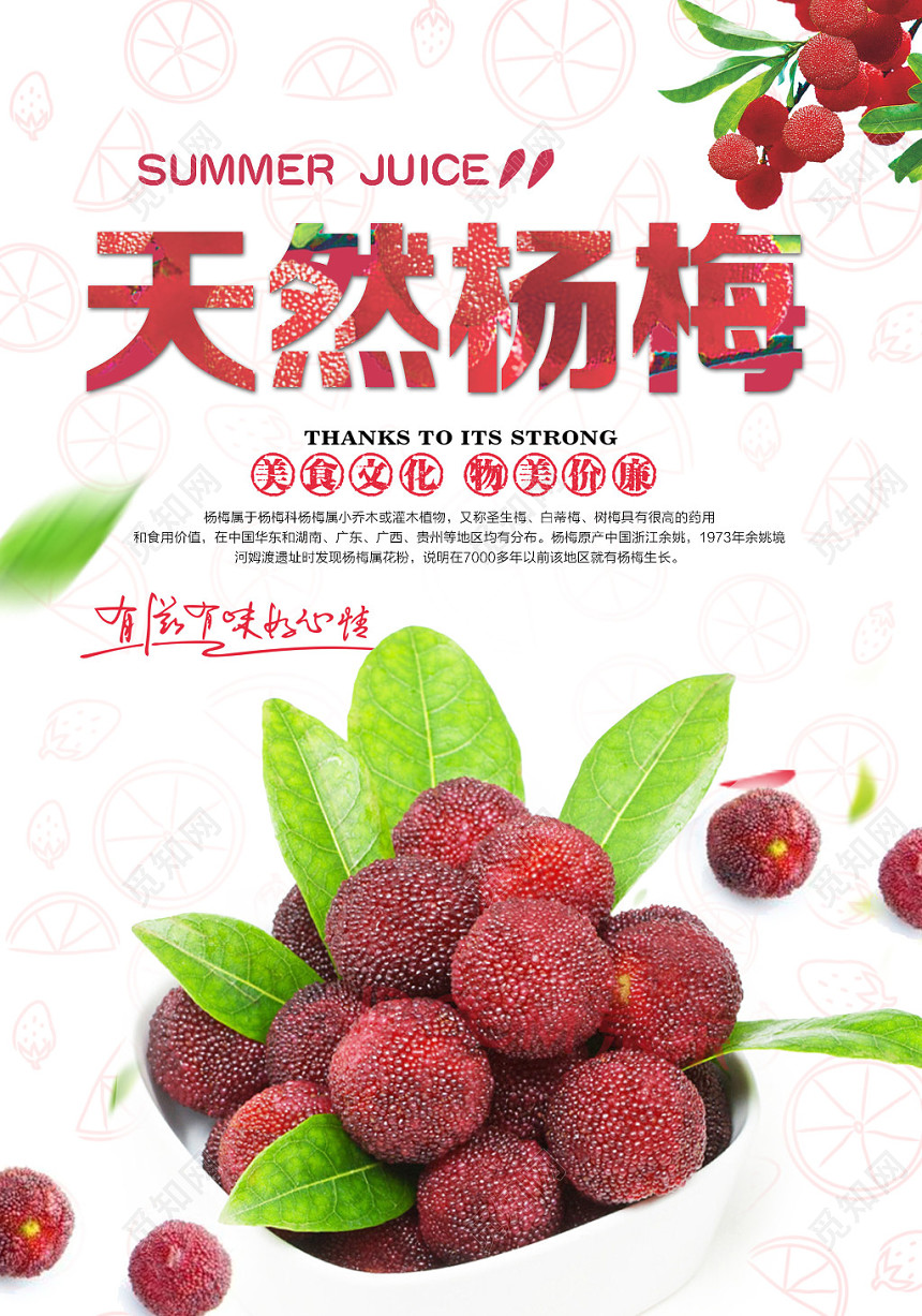 生鲜简约天然杨梅水果之王物美价廉宣传海报