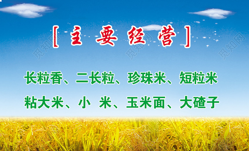 经典大气蓝色个人商务大米名片