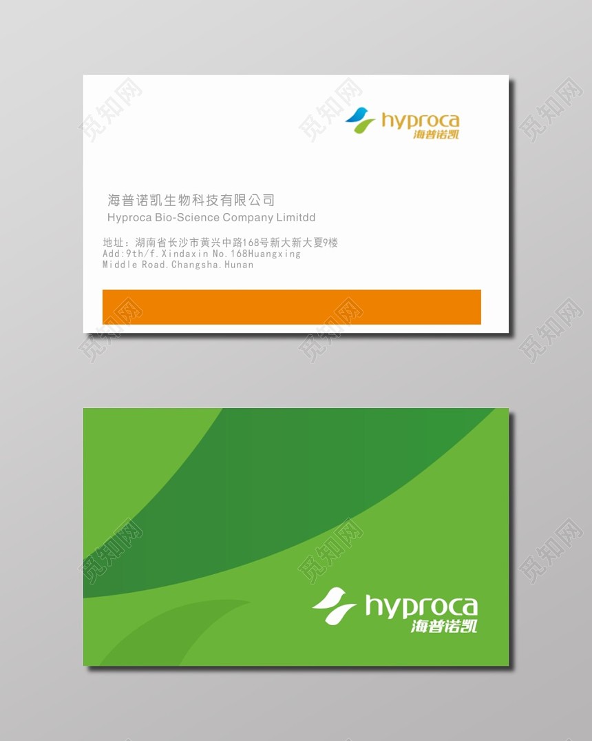 简约生物科技公司名片模板