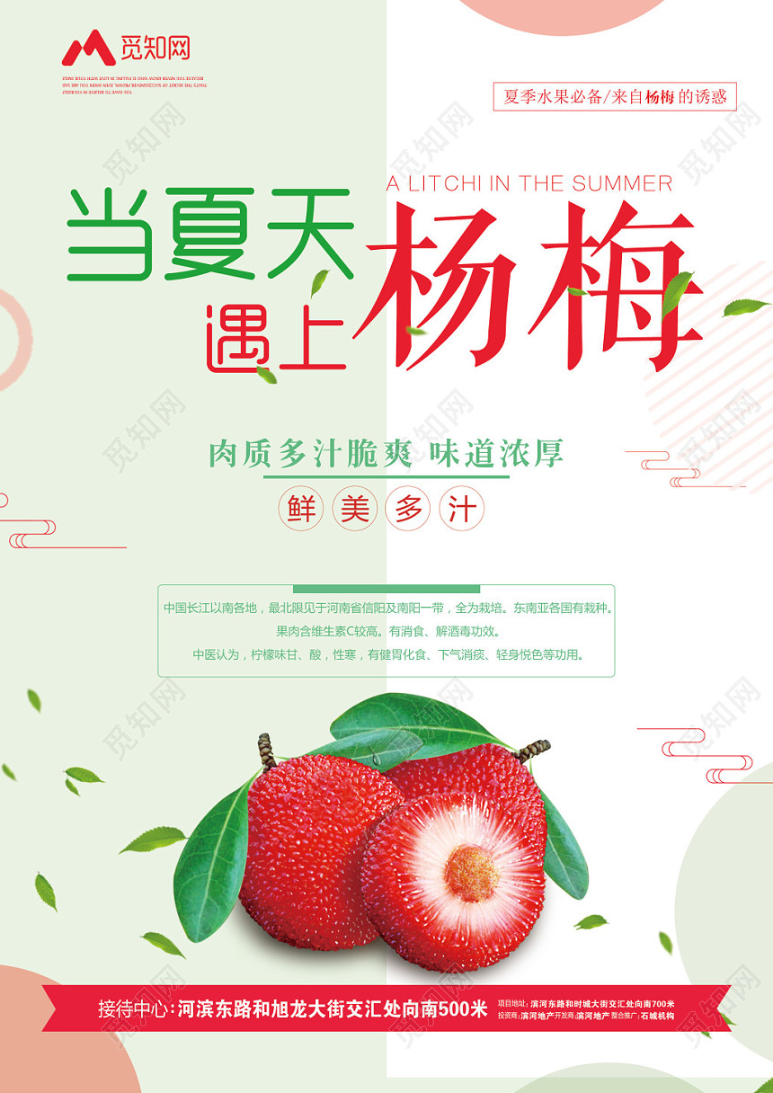 绿色清新当夏天遇上杨梅水果鲜明多汁宣传海报