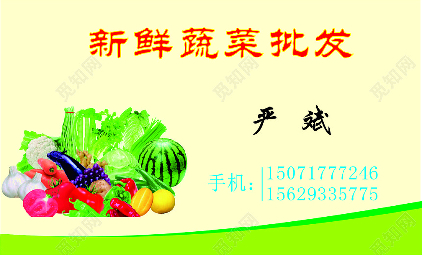 蔬菜名片新鲜蔬菜批发名片