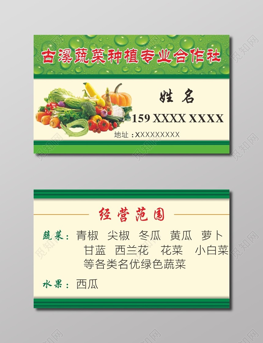 蔬菜名片蔬菜种植合作社名片