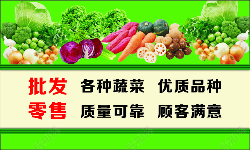 蔬菜批发部蔬菜名片