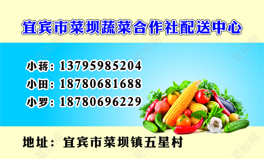 蔬菜名片蔬菜配送中心名片