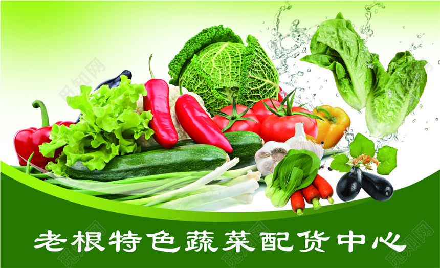 蔬菜名片蔬菜批发名片