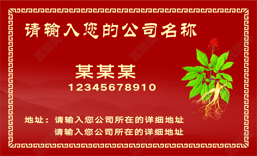 中国风红色个人中医理疗中医理疗名片