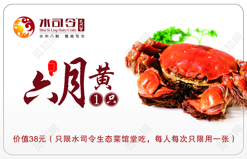 简洁名片六月黄大闸蟹名片设计模板