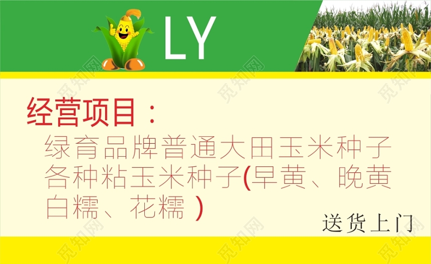 简约浅色个人玉米名片