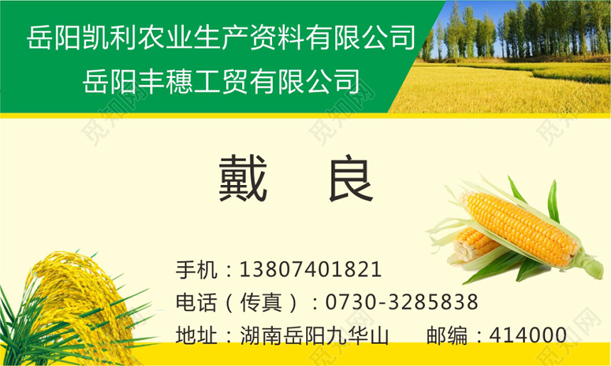 简约白色个人玉米名片