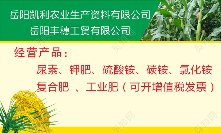 简约白色个人玉米名片