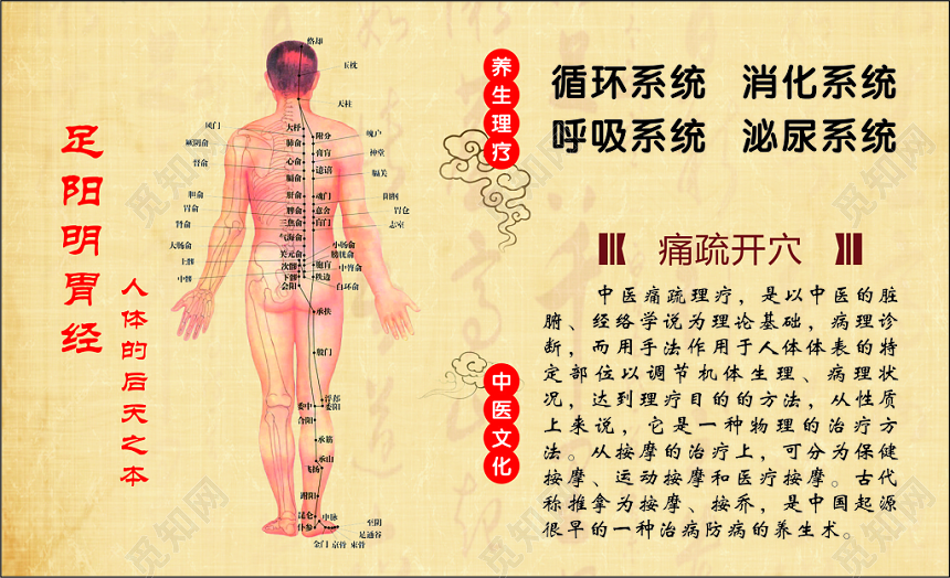 中医名片养生名片模板