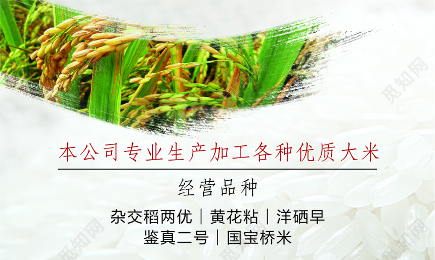 简约白色个人批发大米大米名片