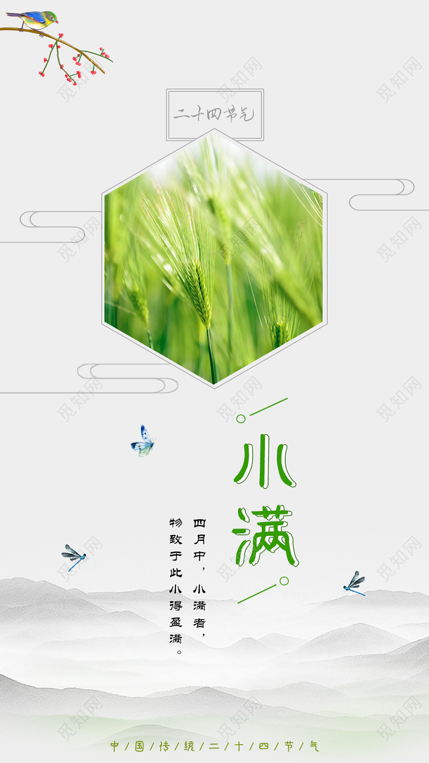 中国传统节气小满二十四气节系列简约小清新中国风海报设计