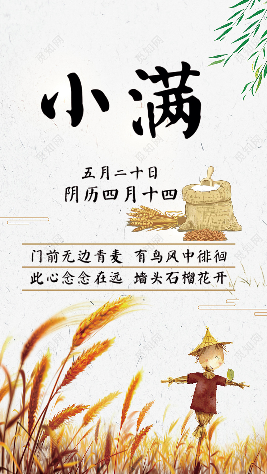 小满二十四节气手机海报24节气宣传创意海报