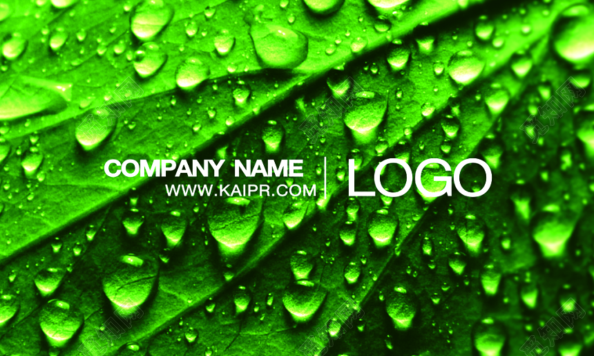 绿色叶子简洁企业名片