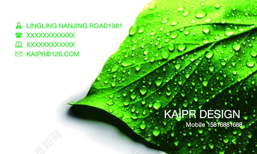绿色叶子简洁企业名片