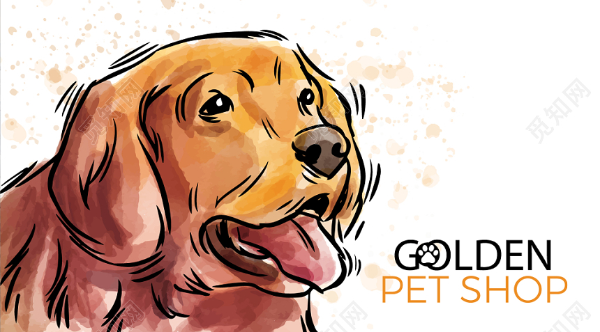 手绘金毛宠物店名片