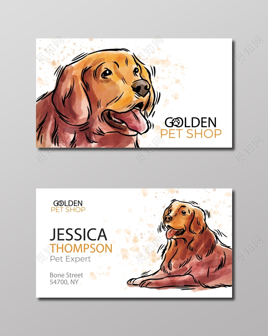 手绘金毛宠物店名片