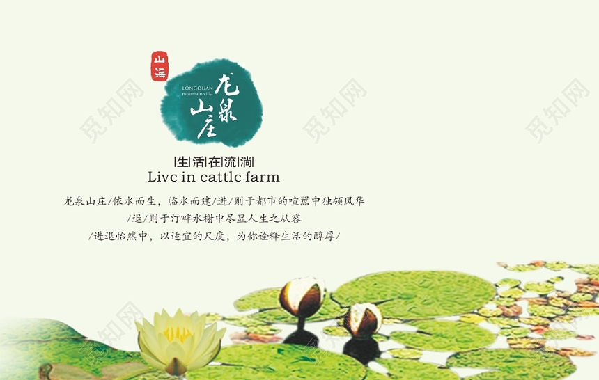 中国风荷叶名片设计模板