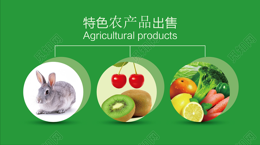 特色农产品出售水果名片