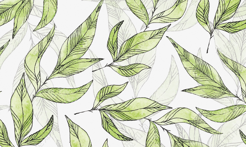 清新绿叶个性简约时尚创意名片公司个人卡片