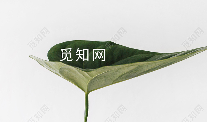 小清新时尚简约高端个人商务通用名片模板