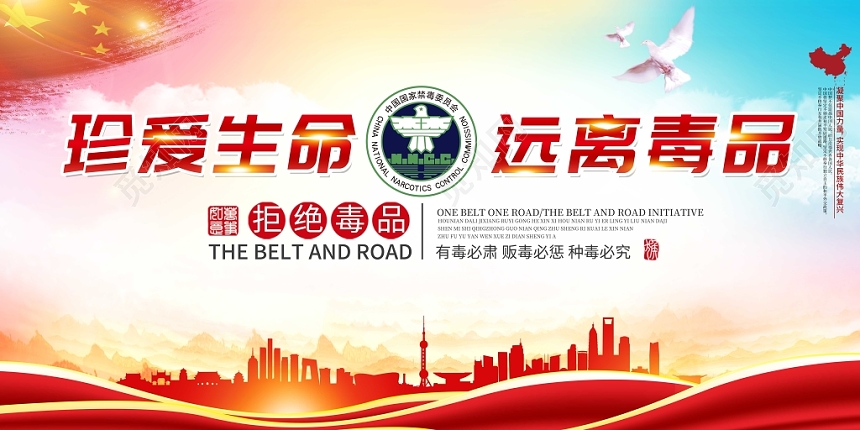 党建风珍爱生命远离毒品公益慈善禁毒展板