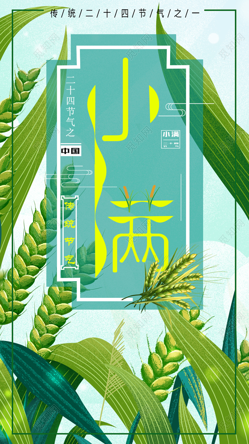 24节气插画小满中国二十四节气手机海报