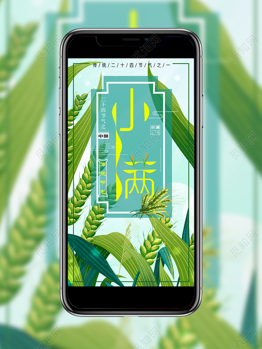 24节气插画小满中国二十四节气手机海报