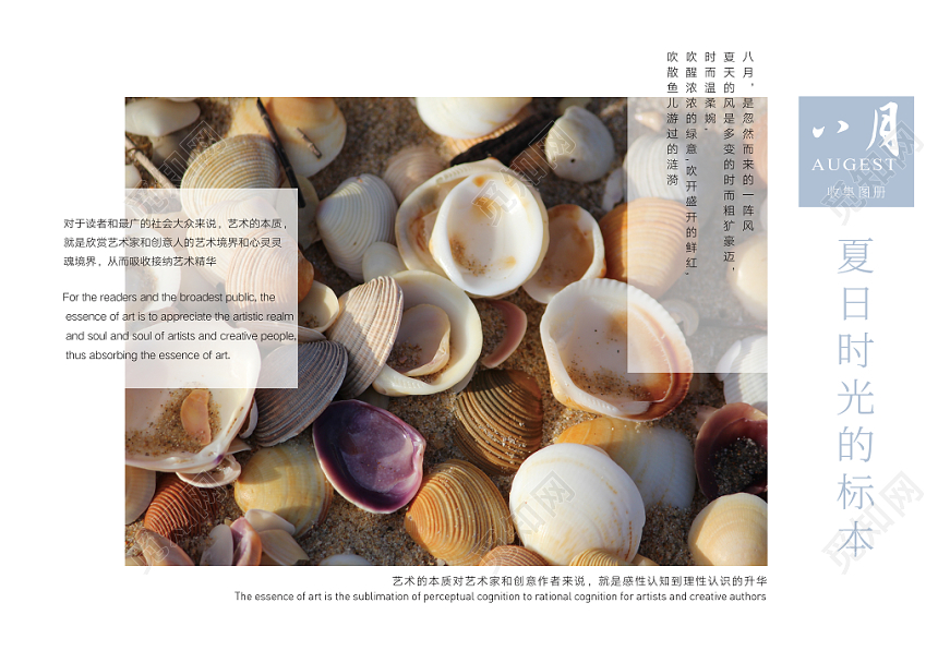 清新文艺浪漫夏日贝壳摄影画册封面