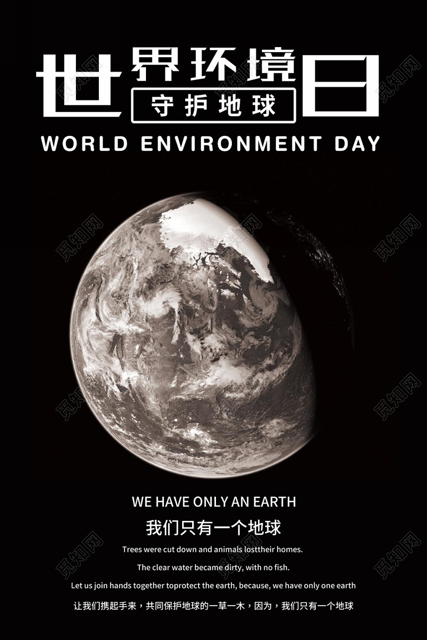 黑白风格世界环境日保护环境公益户外宣传海报