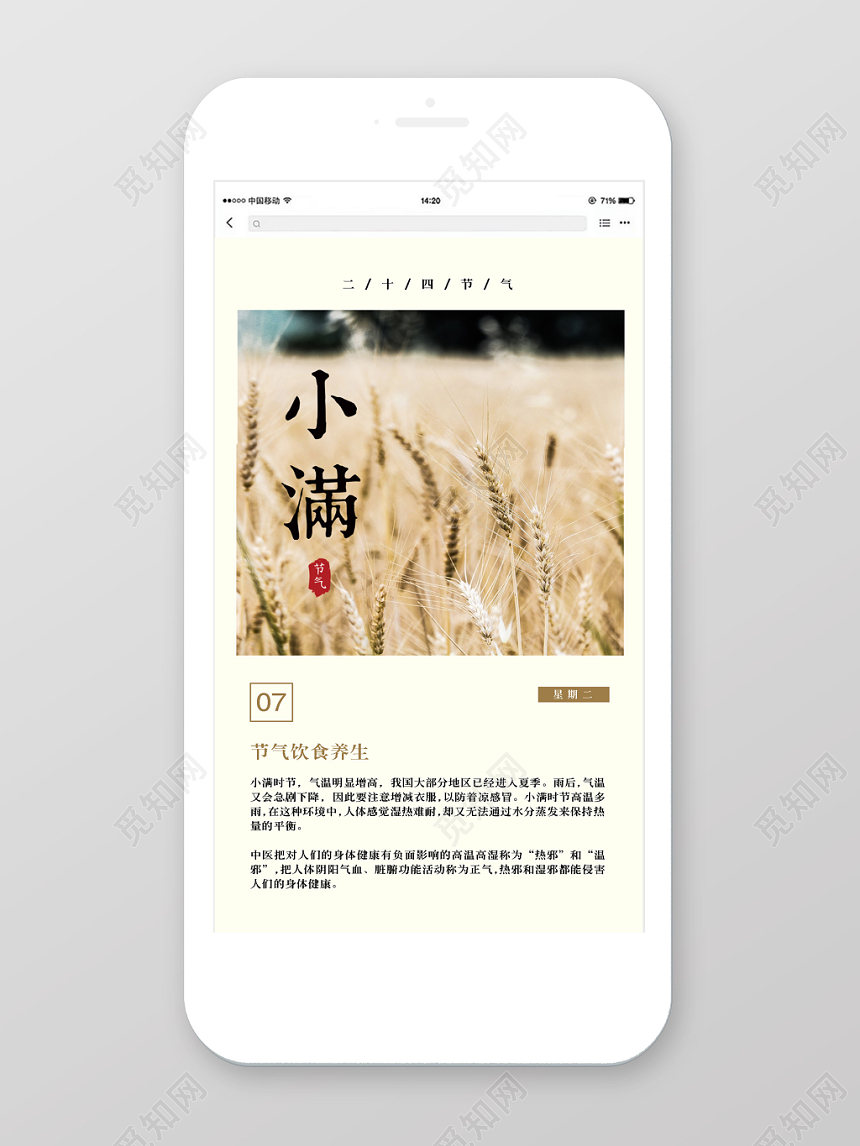 小满24节气二十四节气简约宣传手机海报
