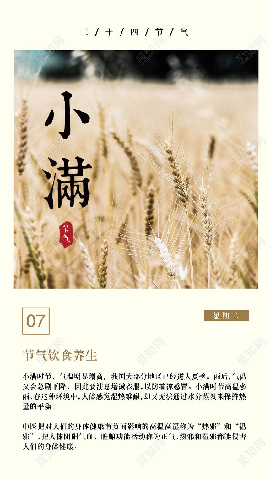 小满24节气二十四节气简约宣传手机海报