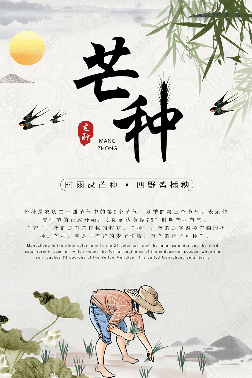 24节气中国风简约大气芒种节气宣传海报展板