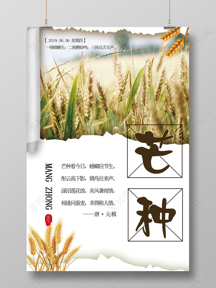 24节气芒种传统节日麦田宣传海报