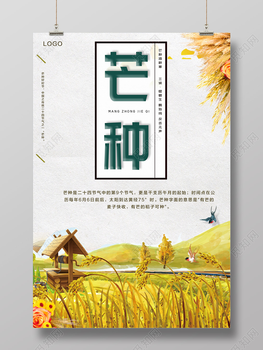 芒种24节气二十四节气芒种插画创意海报