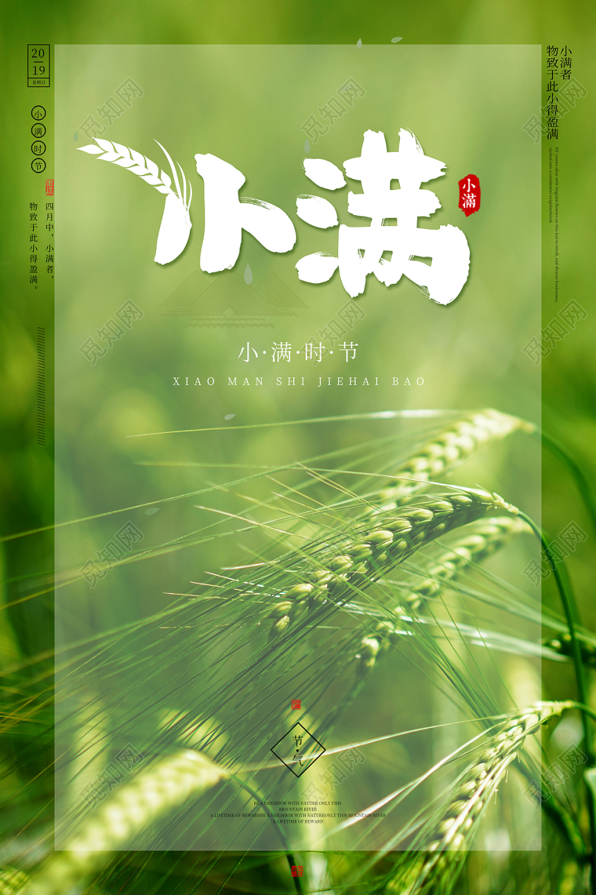 创意绿色麦田二十四节气小满宣传海报