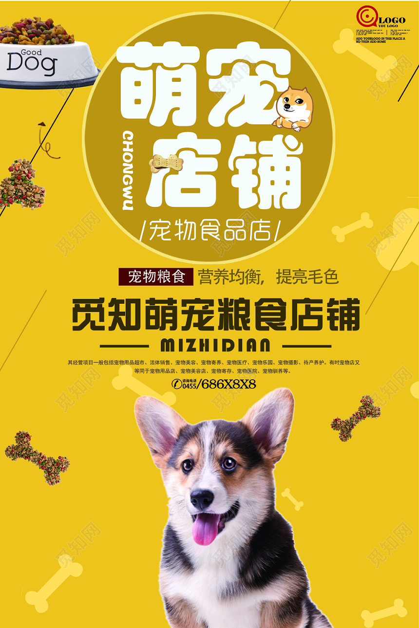 可爱猫咪狗狗宠物店动物宣传海报