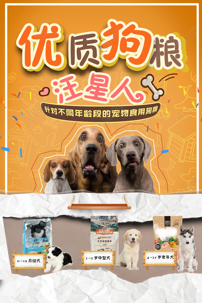 黄色可爱狗狗宠物店动物狗粮促销海报
