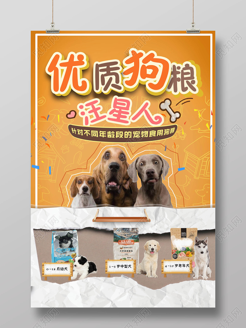 黄色可爱狗狗宠物店动物狗粮促销海报