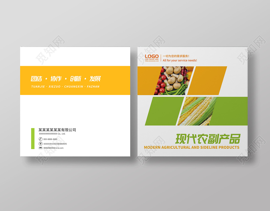 现代农副产品蔬菜水果画册封面