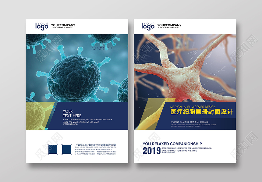 蓝色医院医药医疗细胞产品画册封面宣传册