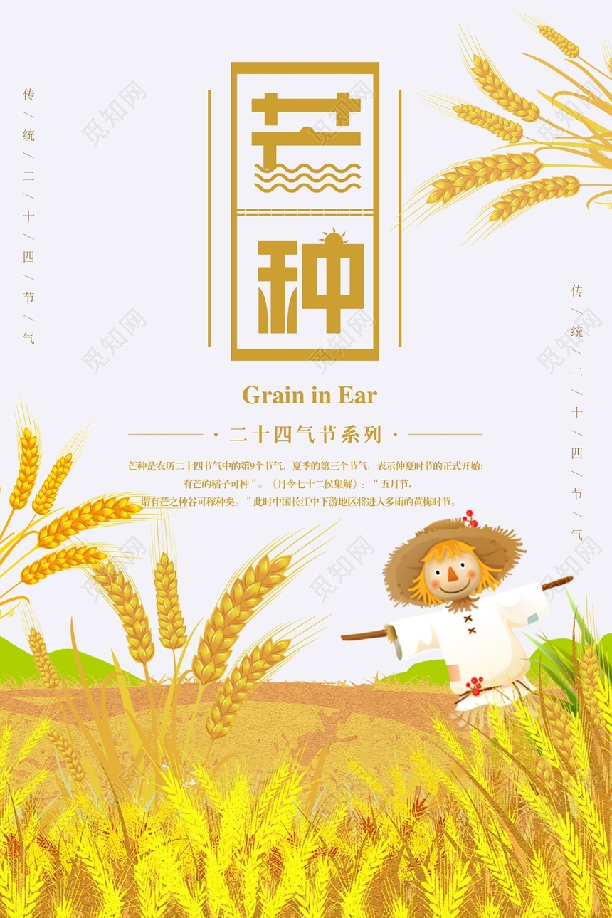 简约大气二十四节气芒种宣传海报设计