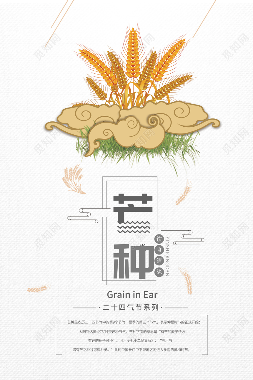 二十四节系列芒种小麦麦穗时令海报