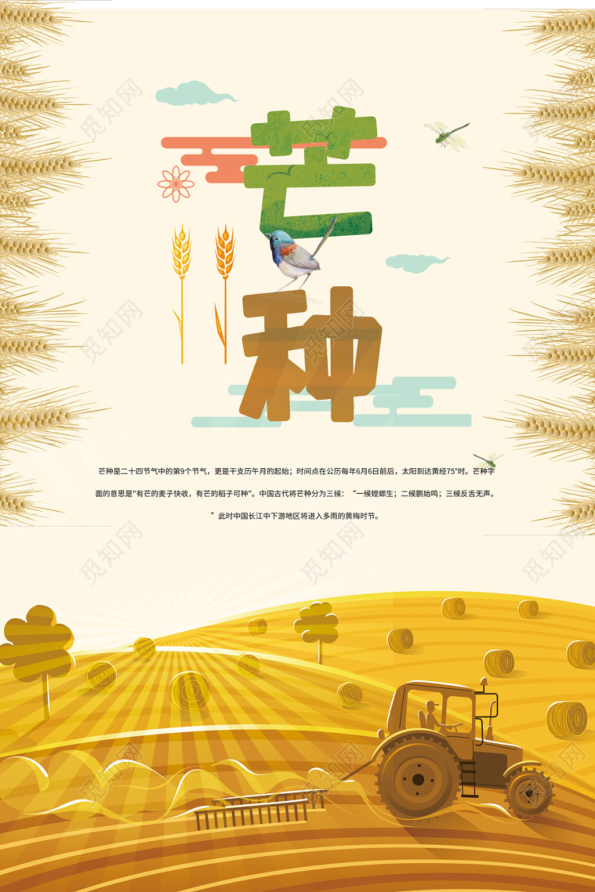 二十四接节气芒种小麦麦穗海报