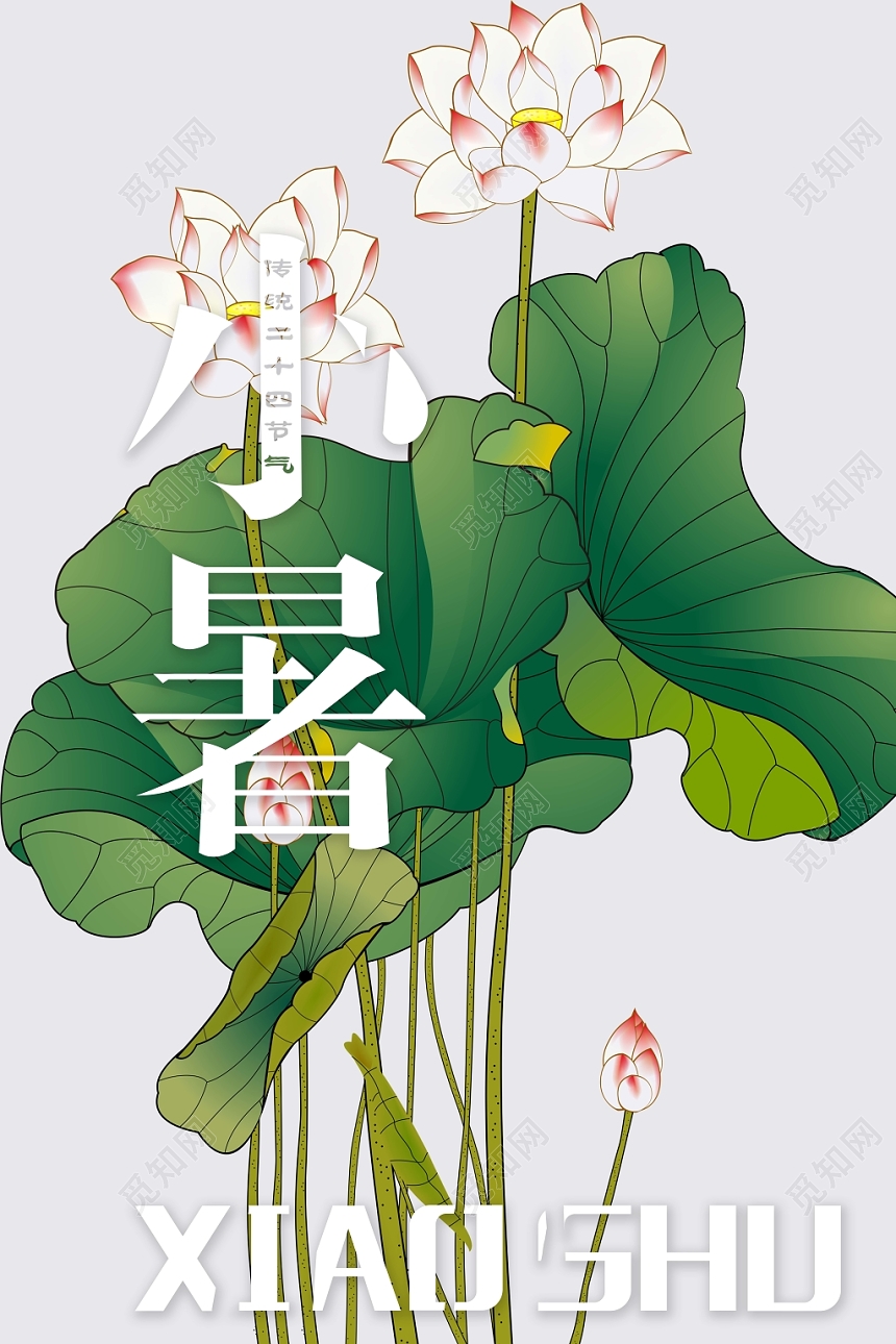 中国风二十四24节气节日宣传海报