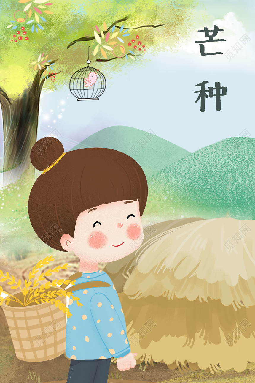 清新二十四节气芒种插画海报