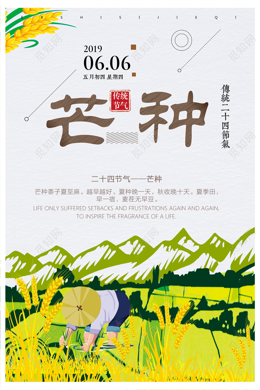 芒种二十四节气海报
