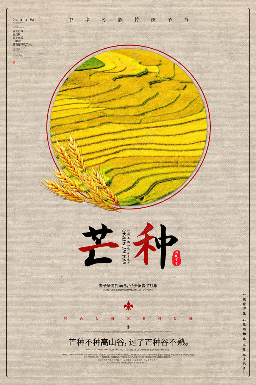 简约传统二十四节气之芒种麦穗麦子水稻节气宣传海报